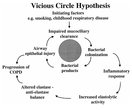 vicious_circle.jpg