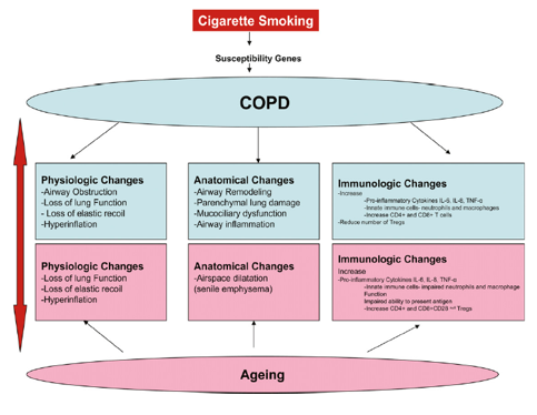 AGE-AND-COPD.png