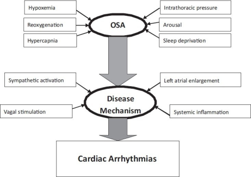 OSA-and-cardiac-arrhythmias.png