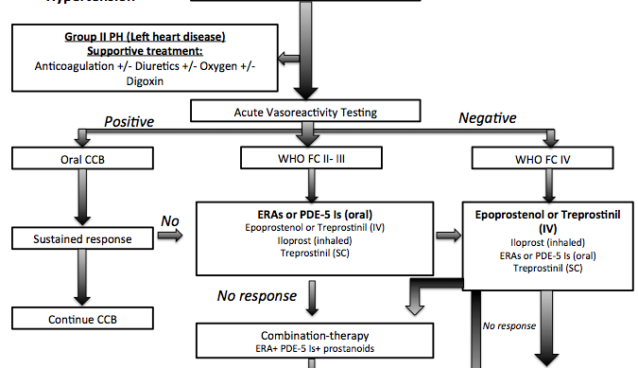 Algorithm_for_treatment_of_pulmonary_HTN1.png