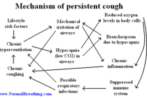 persistent-cough-remedies.png