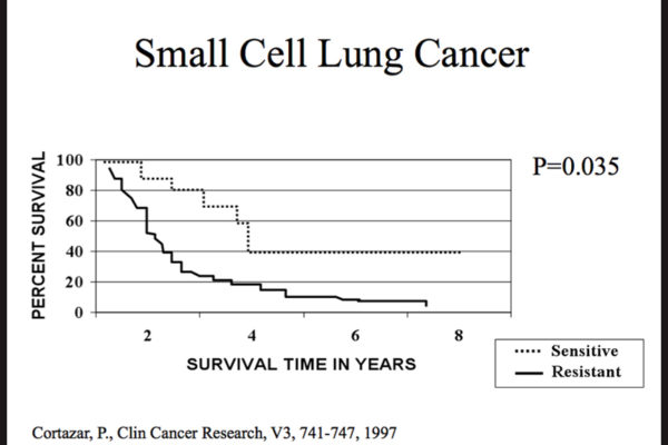lrg_sc-small-cell-lung-cancer.jpg