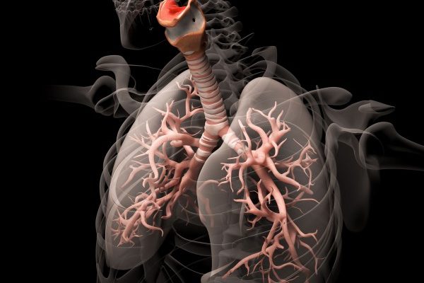 sn-asthmaH.jpg